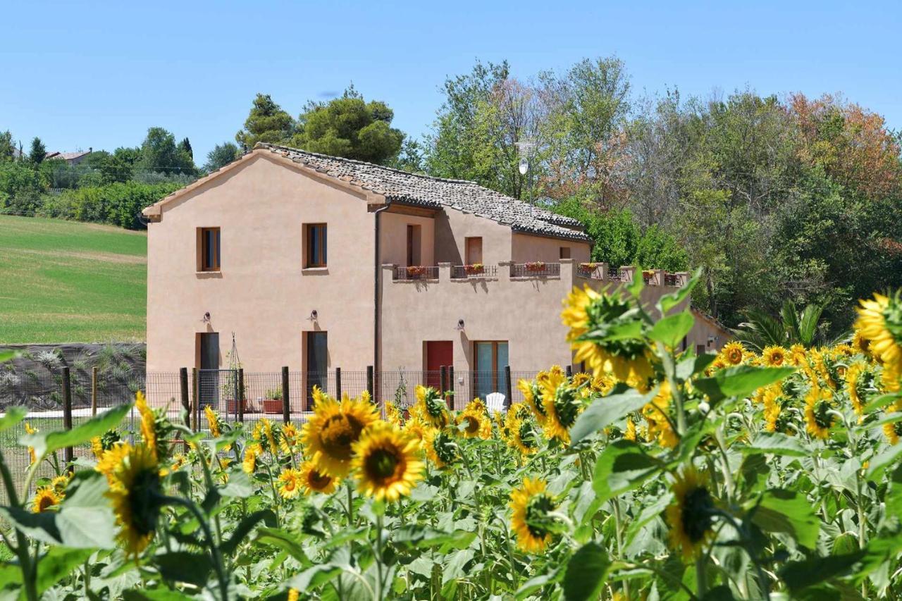 Casa Montefiore 13 Iris Lt Nella Tranquilla Campagna Marchigiana أنكونا المظهر الخارجي الصورة